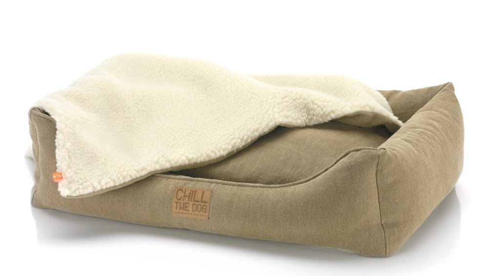 Was sollte man beim Hundebett beachten? Eine klare Entscheidungshilfe vor dem Kauf