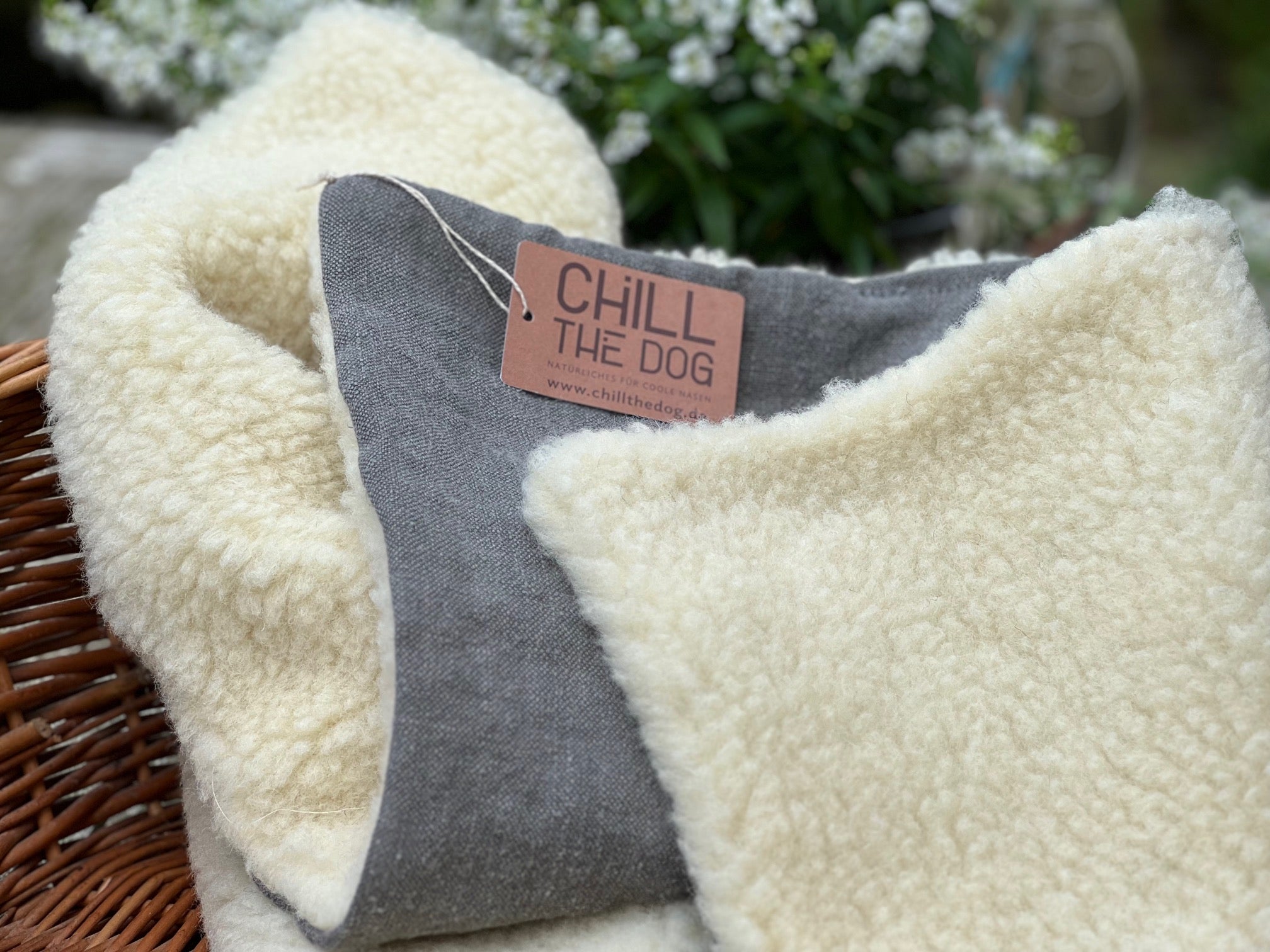 Hundedecke für unterwegs: graue Hanfseite mit Label, Schafwolle oben, Outdoor-Szene im Frühling