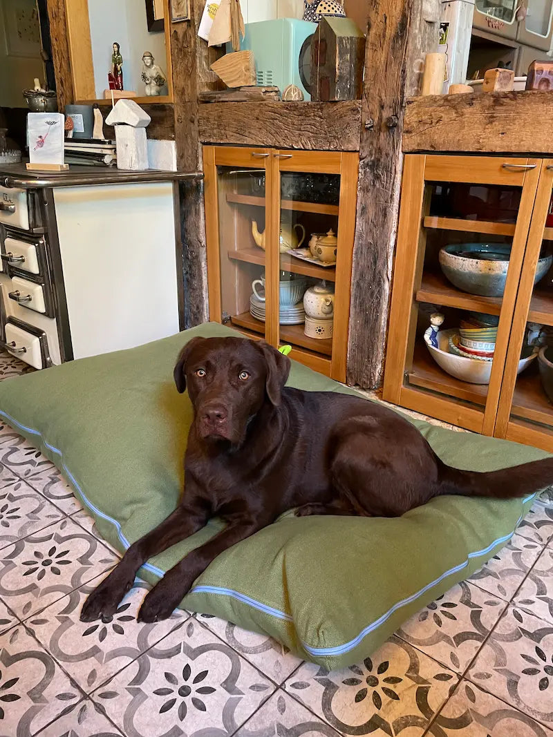 Bommel der Labrador Retriever liegt entspannt auf dem CHILL THE DOG® Hundekissen in Forest Green mit hellblauem Reißverschluss – orthopädisch, waschbar, aus der Naturfaser Hanf