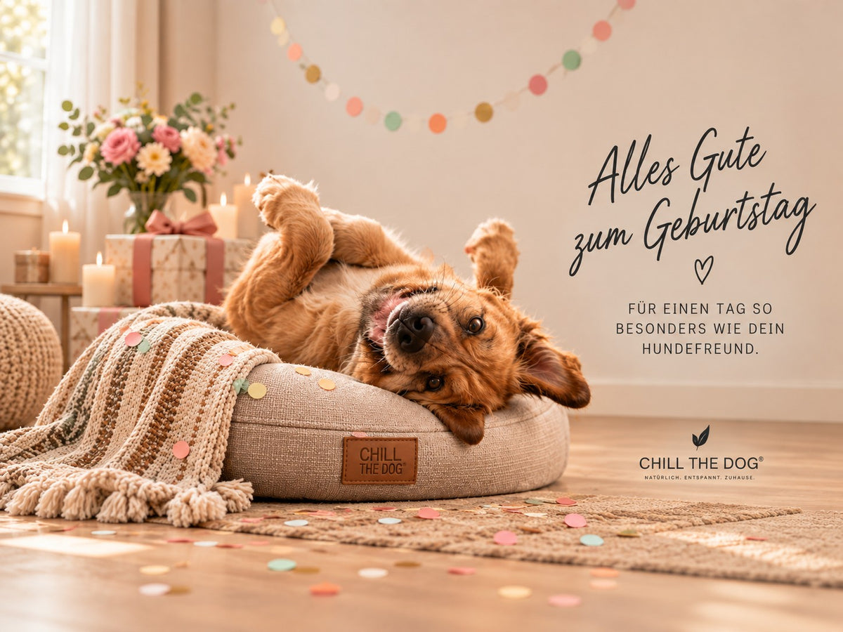 Geschenkgutschein zum Geburtstag für Hundefreunde
