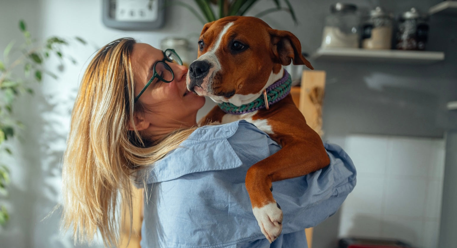 Frau hält ihren Hund auf dem Arm, symbolisiert Geborgenheit und Sicherheit – mit einem Hundebett aus natürlichen Materialien für empfindliche Haut.