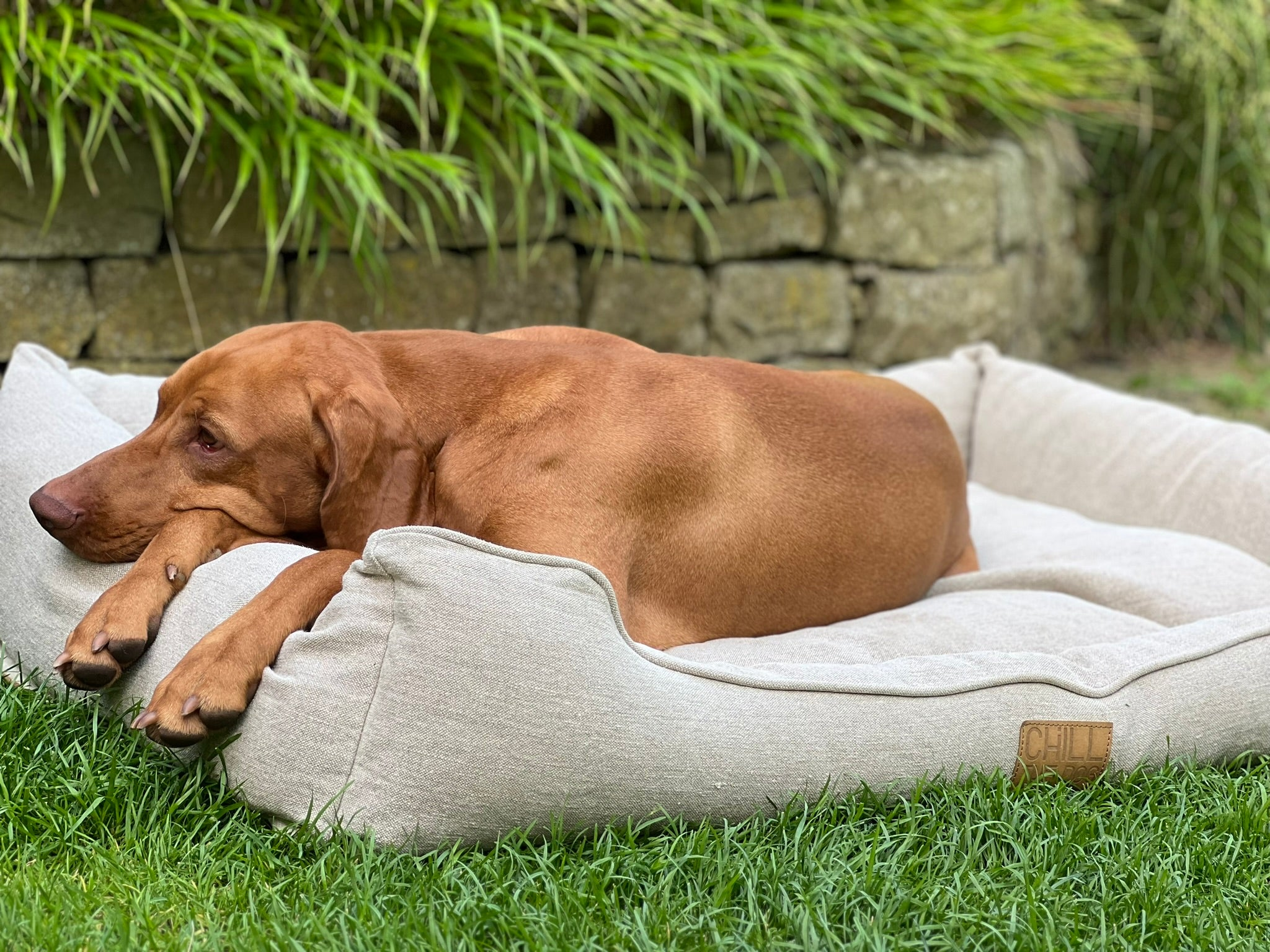 Hundebett orthopädisch, orthopädisches Hundebett, Natur Hundebett 100 % BIO-Hanf, CHILL THEDOG®