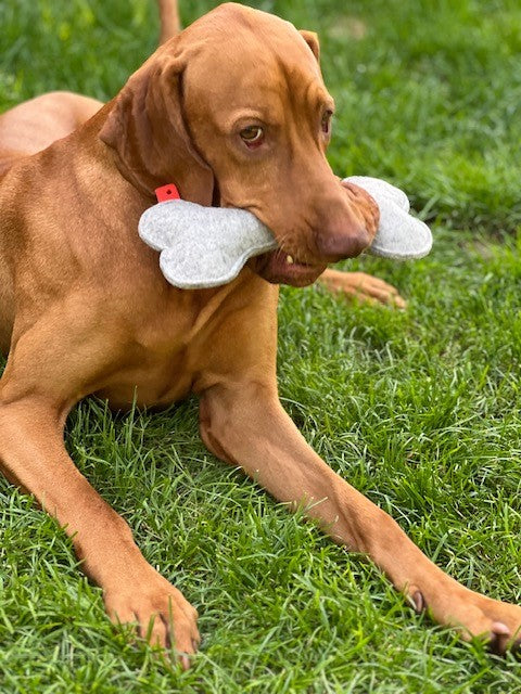 Nachhaltiges Hundespielzeug aus Schafwolle und Wollfilz Magyar Vizsla mit Hundeknochen Knusperwolle